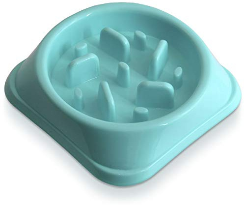 iGadgitz Home U6969 Comedero Perros Pequeños Antivoracidad Cuenco Pequeños, Cachorros y Gatitos Alimentación Lenta Tazón Anti-Gulping Mascotas