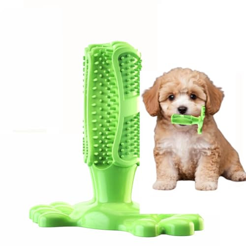 Dog Toothbrush Chew Toy for Small & Medium Dogs – Dental Chew for Plaque & Tartar Removal – Puppy Teeth Cleaning Toy – Vet-Approved & Non-Toxic