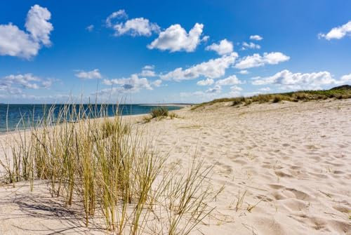 Magnettafel Pinnwand XXL Magnetbild Sand Strand Düne Meer Größe 60 x 40 cm