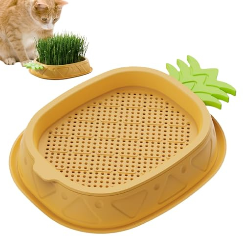 Hydrokultur-Katzengras-Pflanzgefäß, erdloses Kultur-Zucht-Set, Ananas-Design, Pflanzenkeimschale, Weizengras, Anzuchttopf, Kindergarten für Katzen, Haustiere