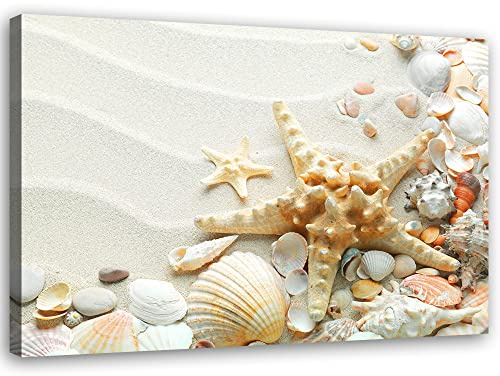 Feeby Vlies Leinwandbild Strand Seesterne Muscheln 30x20 cm Wand Bild Kunstdruck Deko Wohnzimmer Wohnungs Deko Sand Maritimes Motiv Beige