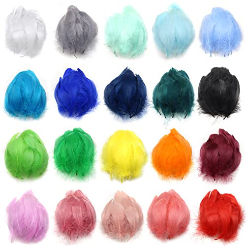 TOAOB 500 Stück Federn zum Basteln Bunte Federn Natürliche Bastelfedern für DIY Handwerk Traumfänger Hochzeit Dekoration DIY Crafts Feather