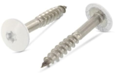 Trespo Lot de 25 vis à bois, 4,8 x 50 mm, en acier inoxydable A2/V2A, à tête bombée et à six pans creux, pour construction en bois, avec six pans creux, inoxydables, revêtues par pulvérisation, blanc