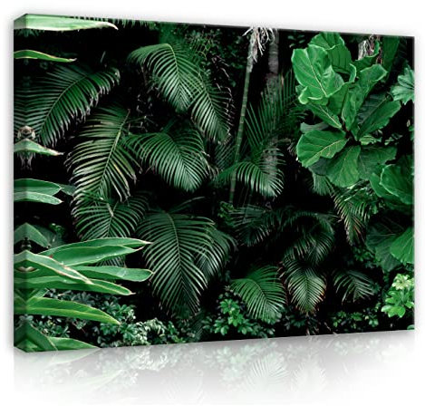 WallArena - Leinwand Bilder - Blätter Pflanzen Grün - 100x75 cm Leinwandbilder - Bild auf leinwand - Wandbild XXL groß Wandbilder für Wohnzimmer Schlafzimmer Wohnzimmerbilder Modern
