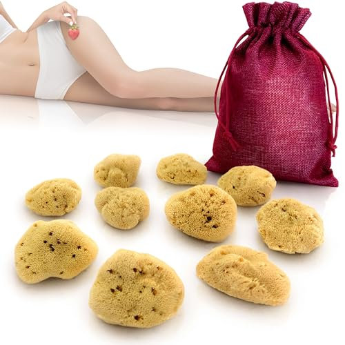 tom&pat Menstrual Sponge, Alternative to Soft Tampon and Menstrual disc - DERMATEST: Very Good, with Travel Change case, Natural Sponge Washable & Reusable (Size S / 10 x 3-5 cm)