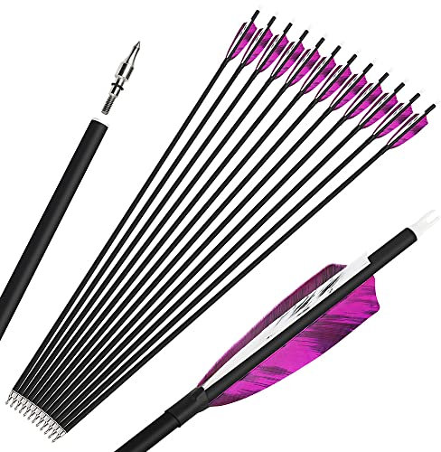SHARROW Bogenschießen Carbonpfeile Jagdpfeile 28/30/31 Zoll Bogenpfeile Spine 500 Pfeile für Bogen Fletching Natürliche Feder (12 stück/30zoll, Lila)