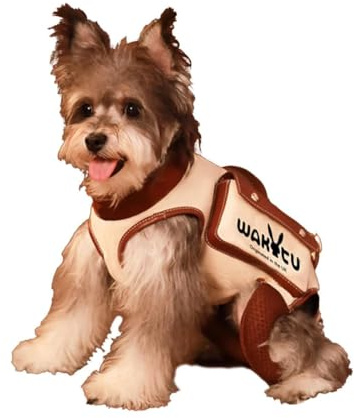 Wakytu Hundegeschirr zum Heben, verstellbare Hundeleine mit Kleiner Leckerli-Tasche für Welpen