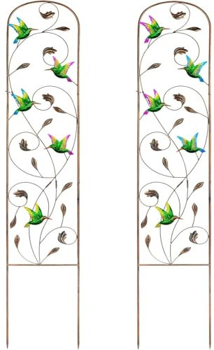 Taylor & Brown 2 Pack Metal Garden Trellis 60 Inch High Garden Obelisk for Climbing Plants Outdoor Decoration Arched Fence Vine Trellis for Patio, Lawn, Yard, Backyard (Hummingbird)