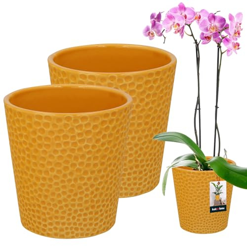 KOTARBAU Juego de 2 maceteros de cerámica esmaltada, 12 cm, altura: 15 cm, para orquídeas, de cerámica, modernas, para interior