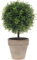 Funzhan 27.5 CM Artificial Boxwood Topiary Potted Plant Decoration Fake Plant Greenery Arrangements in Pot Faux Grass Ball Plant Pot Model Lifelike Vivid Bonsai Ornament Home Cabinet Shelf