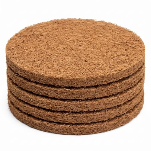 StaZamor Nidi di Piccione di Paglia Naturale Rotondi da 5 Pezzi da 8 Pollici, Cuscinetti Spessi in Fibra di Cocco per Colomba, schiusa di quaglia, Allevamento, Forniture per Habitat di Uccelli