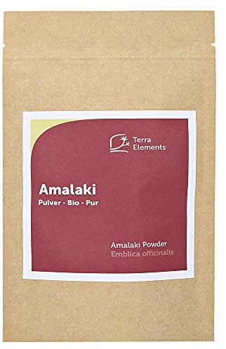 Terra Elements Bio Amalaki Pulver, 100 g I Amla Beere I 100% rein I Vegan I Rohkost