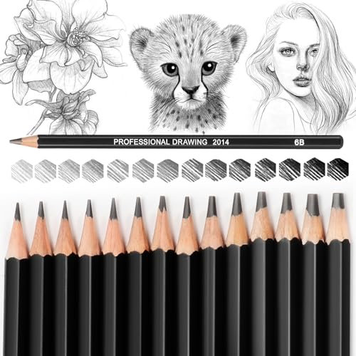 Blendura Zeichenstifte Professionell Set, 14 Bleistifte Zeichnen Set 12B 10B 8B 7B 6B 5B 4B 3B 2B B HB 2H 4H 6H Schreiben Gesund Bleistifte Set für Erwachsene Künstler Anfänger