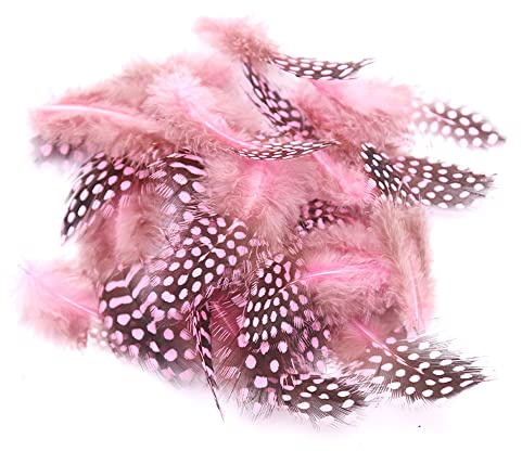 Blausky 100 Stück Natur Federn zum Basteln,Ostern Deko Federn Hühnerfeder Perlhuhnfedern Natur Verzierungsfedern Bunte Bastelfeder für DIY Traumfänger Karneval Masken Halloween Kranz 4.5-10cm,Rosa