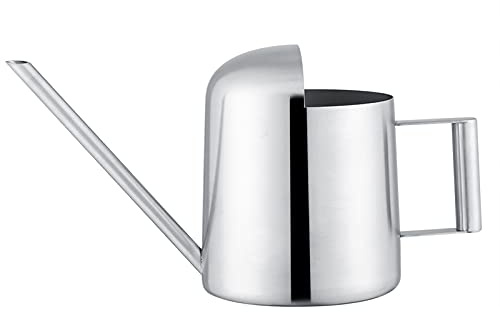 Tiiyee Small Stainless Steel Watering Can for Indoor Plants, Tiny Metal Long Spout Bonsai Watering Can, Mini Houseplant Watering Tool with Comfort Handle for Garden Flower Cactus Succulent (300ml)