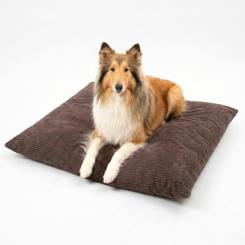 4L Textil Molly Hundebett Hundekissen aus Cord waschbar | 100x80 cm | Dunkelbraun | Abnehmbarer Bezug | Mit Reißverschluss | Maschinenwaschbar | Robust | Mit Bezug