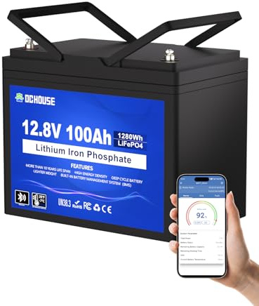 DCHOUSE Batería de litio LiFePO4 Bluetooth de 12V 100Ah, protección a baja temperatura, batería de litio grupo31, hasta 15000 ciclos, 100A BMS, perfecto para motores de trolling, marina, barco