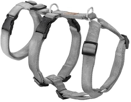 KOCH Sicherheitsgeschirr gepolstert Premium, Made in Germany, Panikgeschirr für Hunde, ausbruchsichers Hundegeschirr, stufenlos verstellbar, grau/XS - 20mm | 38-49cm