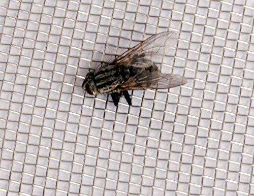 Malla Metálica Mosca. Grado Marítimo de Alta Calidad 316 Acero Inoxidable 60 cm x 240 cm