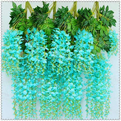 Bloom Green Co. 10pcs / bag Wisteria bonsai rare rosso Wisteria fiore bonsai piante arboree perenni Indoor Ornamentali piante in vaso: 11