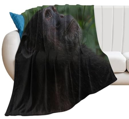 50x40inches (125x100cm) Throw Blanket, Chimpanzee Look Up in The Tree Tops Print, Warm Cozy Blanket, Plush Comfortable Blanket Valentines Gifts