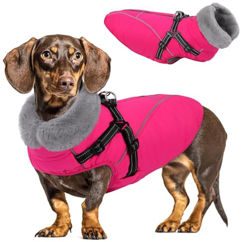 Queenmore XS Hundemantel mit Geschirr, Wasserdicht Wintermantel Hund Klein | Warm Fleece Hundebekleidung & Zubehör für Chihuahua/Pomeranian/Yorkshire Terrier Für Gassigehen bei Regen & Schnee (Rose, XS)