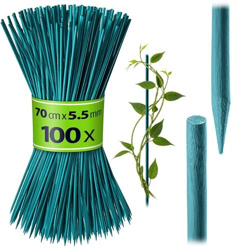 KADAX Bambusstäbe 70cm x 5.5mm, 100er Set, Pflanzstäbe aus Bambus, Holzstäbe als Pflanzenstütze für Setzlinge, Blumenstäbe, Rankhilfe für Pflanzen, Rankstäbe (Grün)