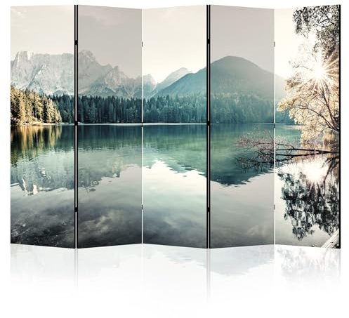 LUMASOUL Paravent Raumteiler Innen beidseitig Bedruckt 225x172 cm Landschaft
