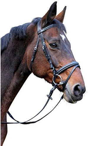 Covalliero Trensenzaum Classic Leder, schwarz, Pony