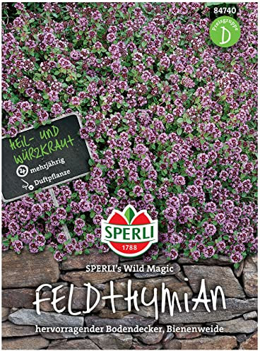 84740 Sperli Premium Thymian Samen Wild Magic | Samen Thymian | Thymian Samen Mehrjährig | Thymian Pflanze Samen | Kräuter Samen