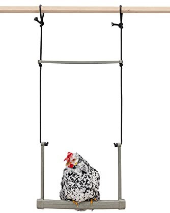 Beeztees Hühnerschaukel, Hühnerzubehör, Huehnerschaukel 40x5x30 cm grau