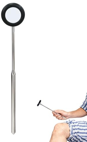 Marteau à réflexes professionnel en acier inoxydable chromé, Outil diagnostique de 110 g, longueur de 22 cm, Adapté à évaluation neurologique et tests de réflexes cutanés