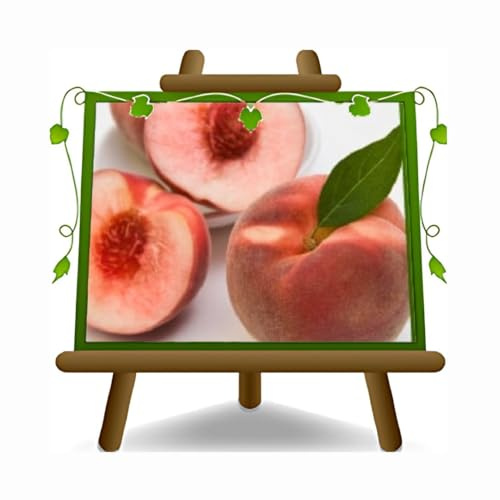 EURO PLANTS VIVAI Pesco Pesche a Polpa Bianca con Venature Rosse Pianta da Frutto su Vaso: ø 24/26 cm. - *Altezza: 170~200 cm. - Età 4 Anni