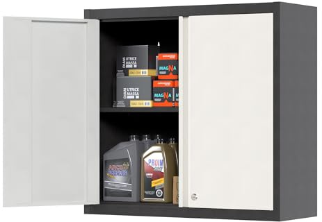 LOCENHU Armoire murale en métal - Avec 1 tablette réglable en hauteur et 2 portes - Armoire murale verrouillable en acier inoxydable - Convient pour garage et atelier - Dimensions : 66 x 66 x 30 cm (H