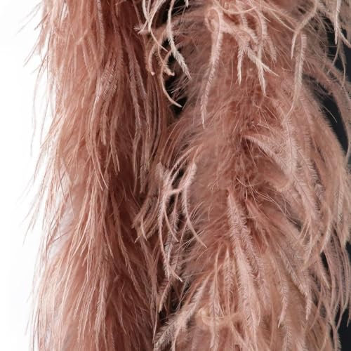Wambere 1 Stück 2m Federboa Straußwollstreifen Straußenfeder Boas Weihnachtsboa Federschal Federstola Kleideraccessoires für Karneval Halloween Mottoparty Fasching Maskerade Cosplay,Braun