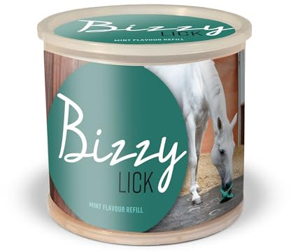 BIZZY Horse Leckstein, 1 kg 1 kg, Minze