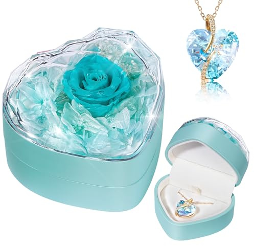 Ewige wahre Rose Herz Halskette, unendliche Rosen, Schmuck Geschenkbox, Rose Box Geburtstag, Valentinstag, Hochzeitstag Geschenk für Freundin