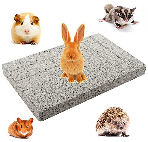 VTurboWay Kaninchen Schleifen Kralle Pad Lava Schleifen Zähne Stein Kauspielzeug Fußpolster für Häschen Kaninchen Chinchilla Meerschweinchen Totoro Igel Hamster Nagetier Kleintiere