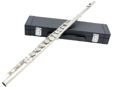 rockible Flöteninstrument mit Etui, C-Flöte 16 Tasten für Kinder, Anfänger, Kinder, Schüler, Geburtstagsgeschenk