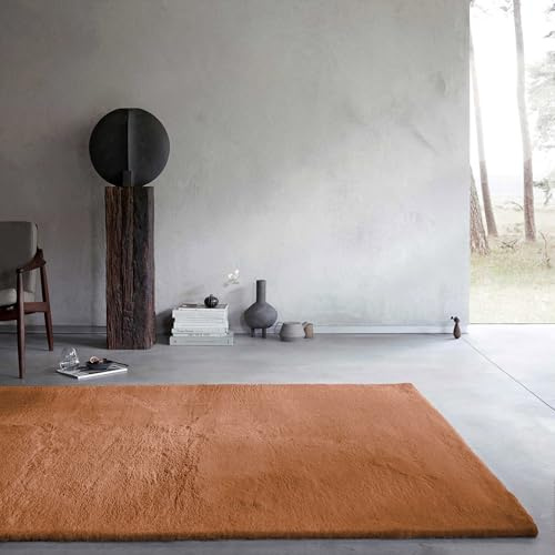 Wecon Home Basics - Tappeto a pelo lungo, design elegante ed elegante per soggiorno, camera da letto e altro ancora, Anna (40 x 60 cm, terracotta)