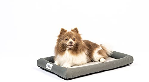 PetFusion Kühlendes Hundebett, orthopädischer Memory-Schaum, Anti-Angst-Matte, alle Temperaturkontrolle, beruhigendes und beruhigendes Welpenbett, Größe XS (53 x 30 cm)