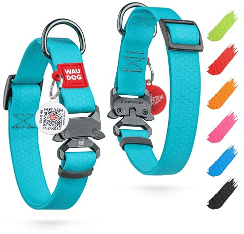 WAUDOG Wasserfest Hundehalsband Mittelgroße Hunde Halsband Hund Hundehalsband Kleine Hunde Halsbänder 25 mm Brete Verstellbares Hundehalsband Große Hunde mit Metall-Verschluss