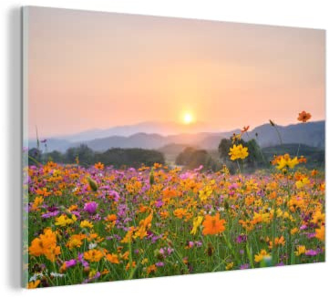MuchoWow Glasbild Glasfoto Wandbild Bilder Deko 150x100 cm Blumen - Sonnenuntergang - Berg