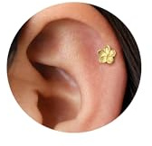 LunarCharm 1 Paire 18G Boucles d'oreilles Petite Fleur en Or Inox avec Plaquage 14 Carats, Clous d'oreilles Délicats, Petit Clou de Nez, Cartilage, Tragus, Hélix, Bijoux de Piercing Conch