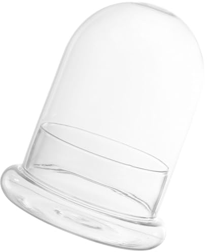 Veemoon Terrarium Écologique en Bouteille en Verre avec Cloche à Dôme à Petits Trous, Grand Format pour Micro-Paysage DIY, Décoration Bureau et Jardin, Plante Mousse Naturelle