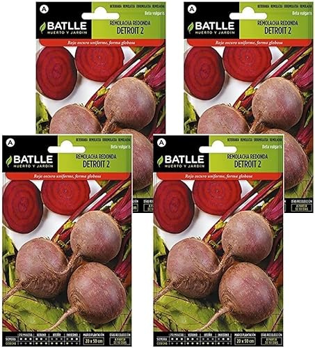 Semillas de remolacha de mesa detroit Semillas Batlle PACK (4)