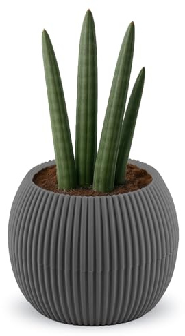 alqua 17CM Self Watering Plant Pots – Grey Plastic Flower Pots with Drainage – Modern Matte Planters for Indoor & Outdoor Plants – Stylish Garden Pots – Decorative Plant Containers
