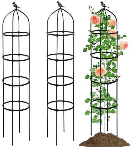 Obélisque de Jardin en Acier Inoxydable pour Plantes grimpantes,2pcs Treillis obélisque pour Jardin et rosiers, Structure de Support pour Plantes grimpantes avec décoration de tête d'oiseau de 175