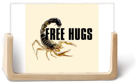 Scorpion Insect Pincers Attack Photo Wooden Photo Frame Tabletop Display