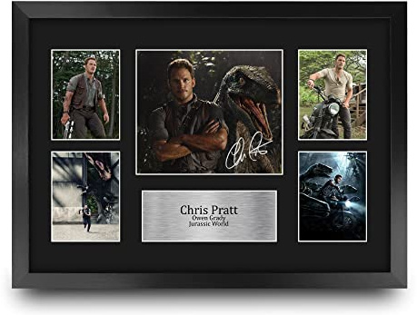 HWC Trading FR A3 Chris Pratt Jurassic World Owen Grady Geschenke Geducktes Signiertes Autogramm Foto für Fans von Film Memorabilien - A3 Gerahmt